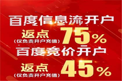 百度推广中SEO优化的成功案例分析